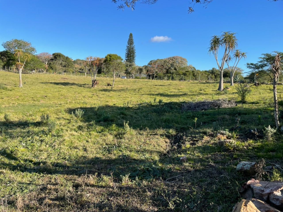 0 Bedroom Property for Sale in Bathurst Eastern Cape